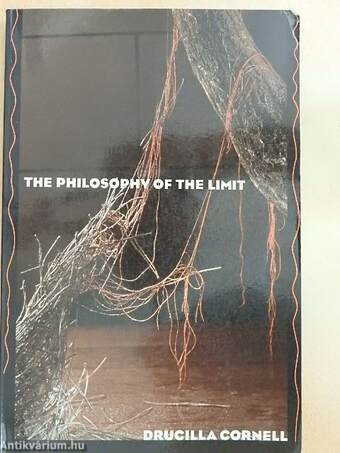 The philosophy of the Limit