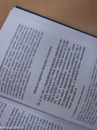 Gazdasági bűncselekmények az alakuló joggyakorlatban