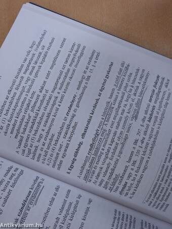 Gazdasági bűncselekmények az alakuló joggyakorlatban