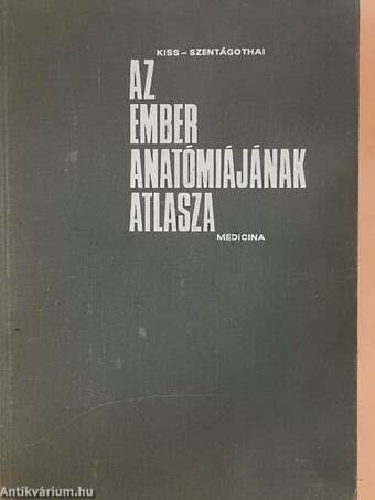 Az ember anatómiájának atlasza III. (töredék)