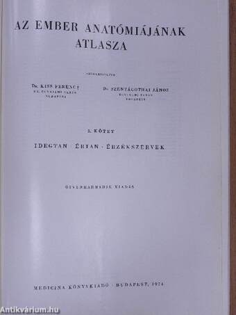 Az ember anatómiájának atlasza III. (töredék)