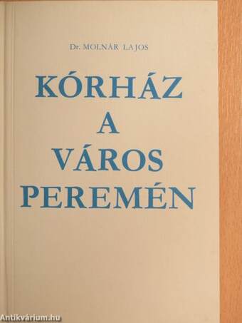 Kórház a város peremén