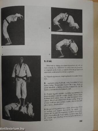 A karate alapjai