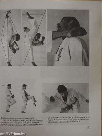 A karate alapjai