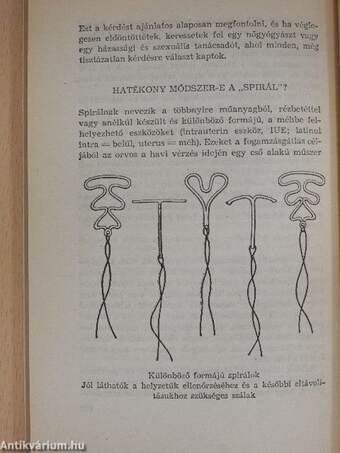 Fiatalság, szerelem