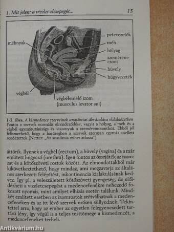 Női vizelettartási problémák