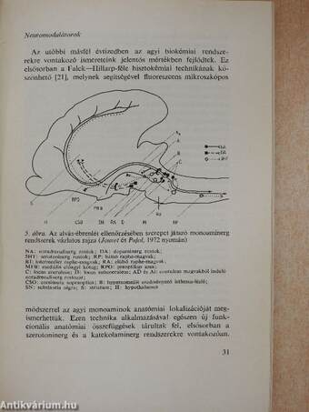A biológia aktuális problémái 12.