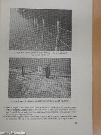 Szarvasmarha- és sertéstenyésztés gyakorlata 1981. június