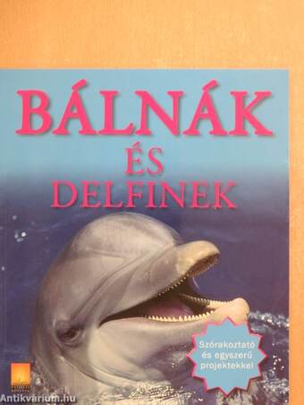 Bálnák és delfinek