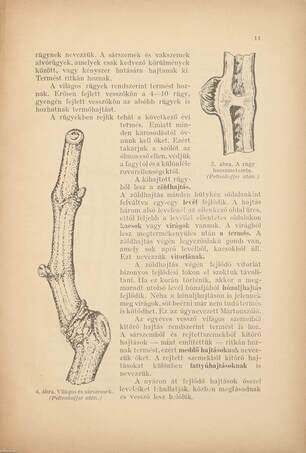 Szőlőmíveléstan és borkezeléstan