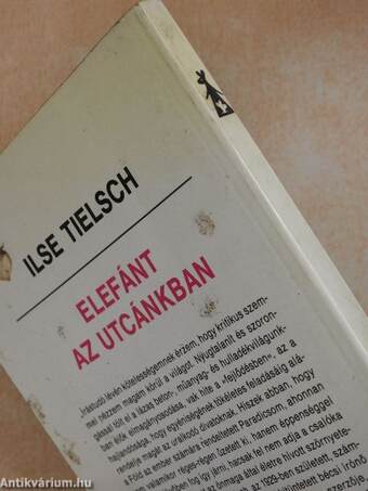 Elefánt az utcánkban