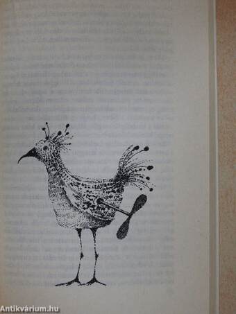 Elefánt az utcánkban