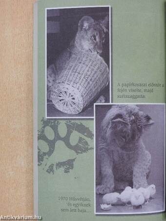 Az oroszlán, akit Christiannak hívtak