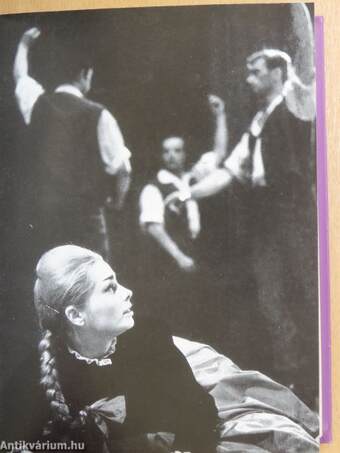 Zenei kiadványok egyedi gyűjteménye - Hangversenyek 1963-1980 (29 db)