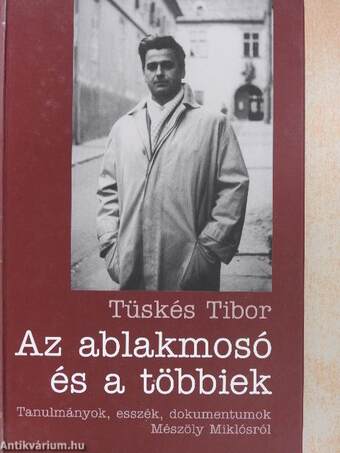 Az ablakmosó és a többiek