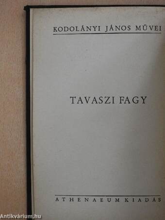 Tavaszi fagy