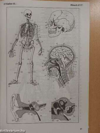 Oxford Duden magyar-német képes szótár