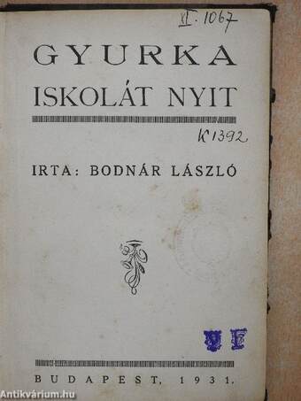 Gyurka iskolát nyit