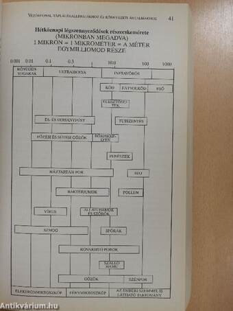 Vezérfonal táplálékallergiákhoz és környezeti ártalmakhoz