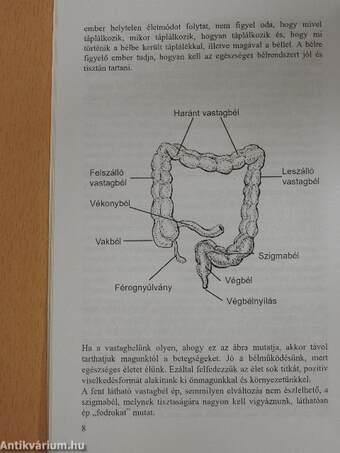 A halál a belekben kezdődhet