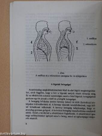 Légúti beteg gyermek a családban