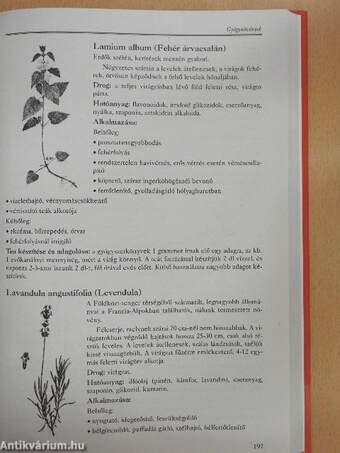 Bioterápia kézikönyv