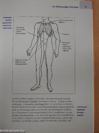 Kineziológia - a gyógyító érintés