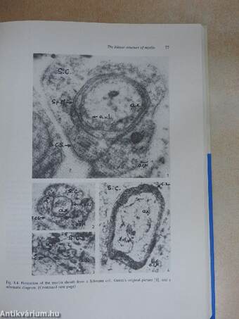 Neurochemistry