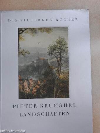 Pieter Brueghel landschaften