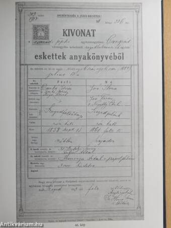 Hulló levél, sárga levél...