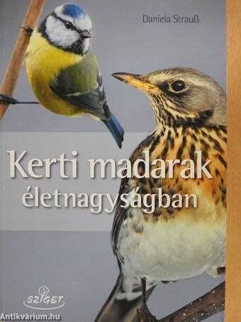 Kerti madarak életnagyságban