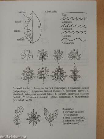 Mérgező növények kézikönyve