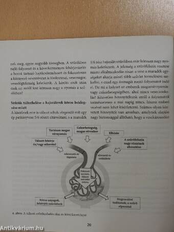 Krónikus vesebetegek étrendje és életmódja