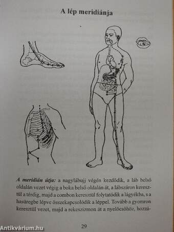 TÁDÉ gyulladáscsökkentő méhviaszgyertya