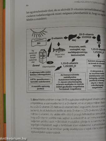 A nélkülözhetetlen D-vitamin