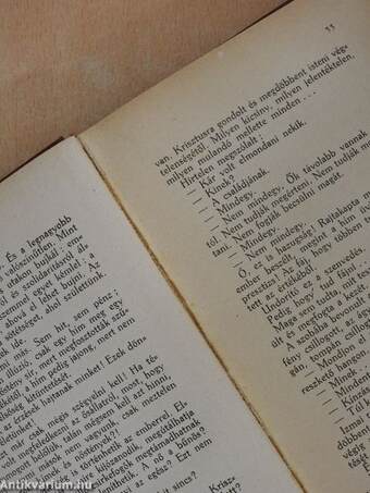 A Halasi-Hirsch fiú I-II.