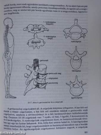 Biológia II.