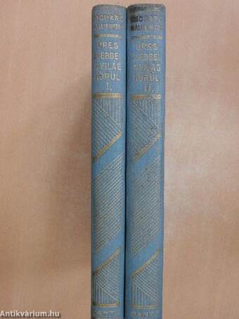 Üres zsebbel a világ körül I-II.