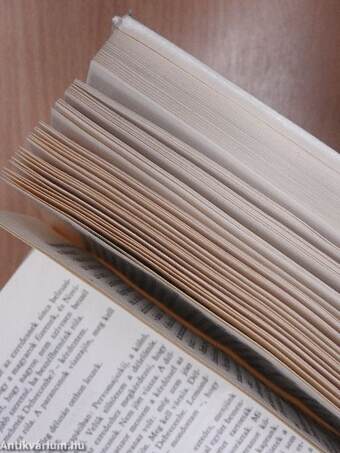 Életünk tükörben