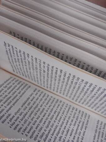 Életünk tükörben