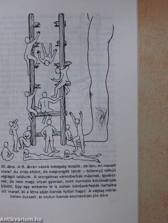 Tanácsok visszérbetegeknek