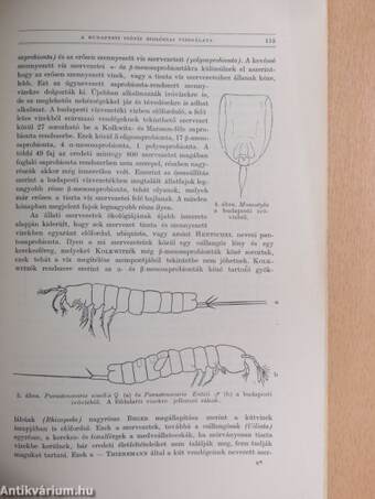 Pótfüzetek a Természettudományi Közlönyhöz 1937. október-december