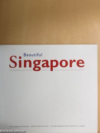 Beautiful Singapore