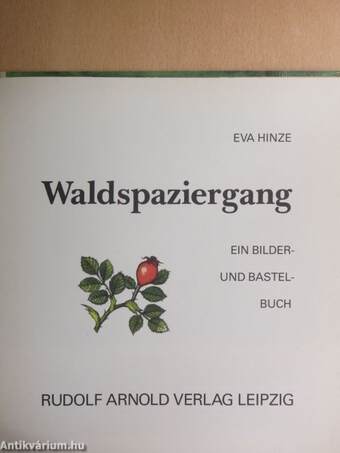 Waldspaziergang