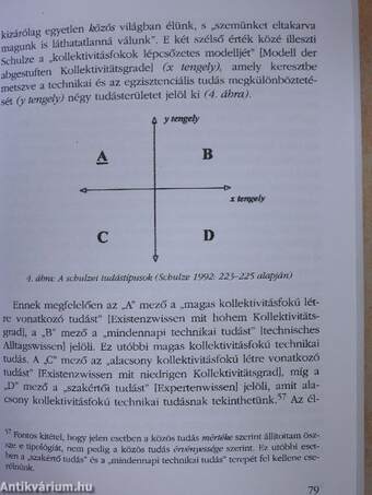 Élménytársadalom