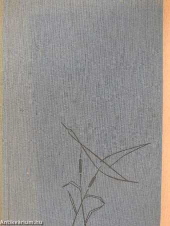 Égszínkék történet