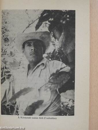 Az istenanyák indiánjai