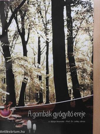 A gombák gyógyító ereje c. könyv kivonata