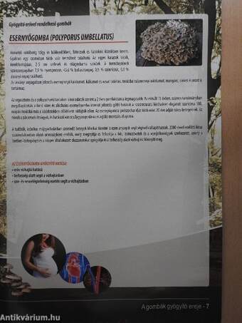 A gombák gyógyító ereje c. könyv kivonata