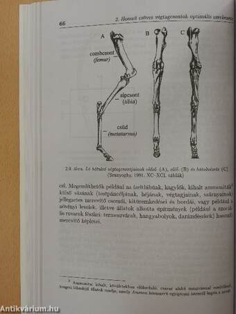 A mechanika biológiai alkalmazása